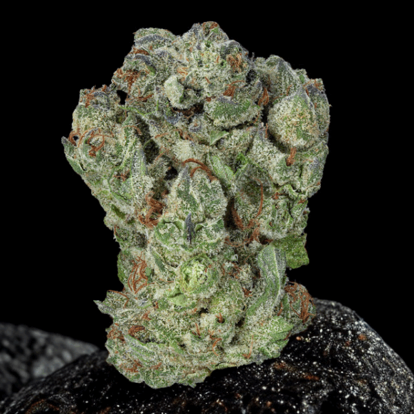 Blazin' Betty Exotic Sativa Flower