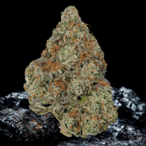 Blazin' Betty Exotic Indica Strain