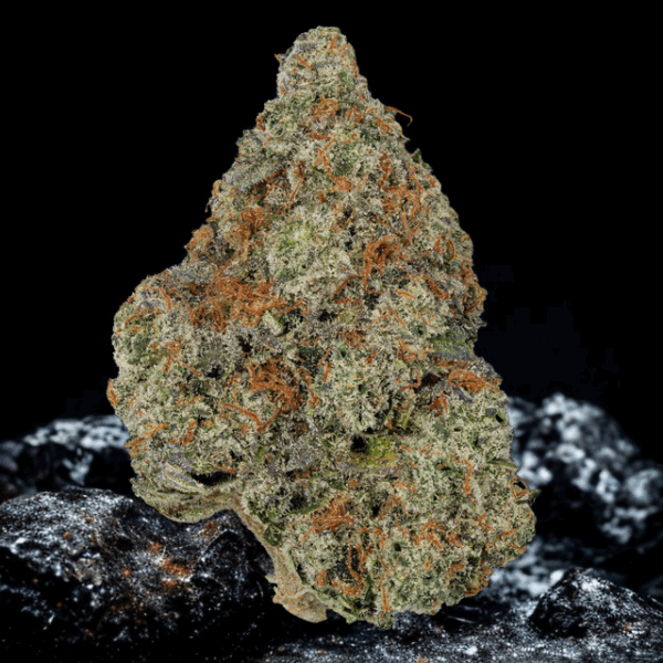 Blazin' Betty Exotic Indica Strain