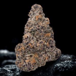 Blazin' Betty Exotic Hybrid
